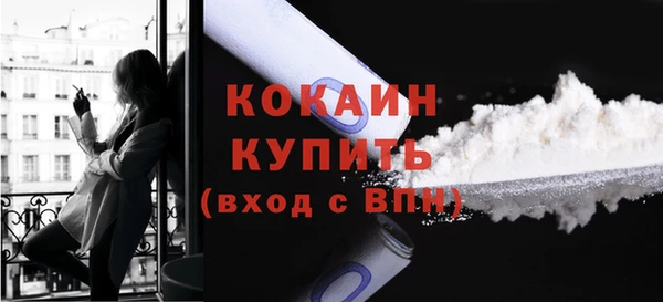 стаф Сатка