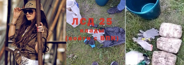 спиды Абаза