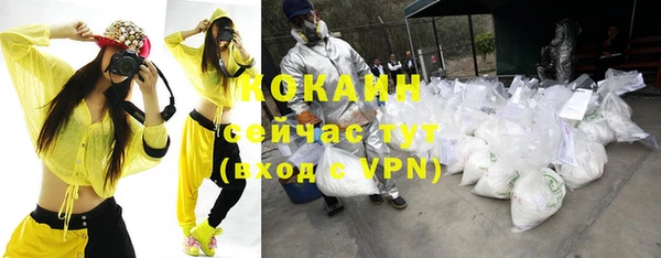 стаф Сатка