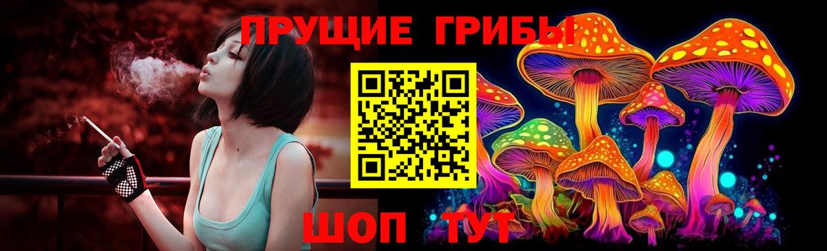 где купить наркоту  Вход с VPN  Карпинск  Псилоцибиновые грибы MAGIC MUSHROOMS  Псилоцибиновые грибы Psilocybe 